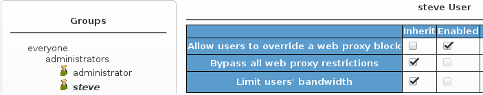 Web proxy permissions