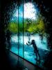 Child at Window